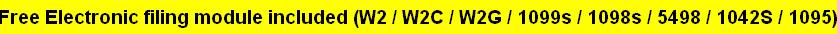 Free Electronic filing module included (W2 / W2C / W2G / 1099 / 1098 / 5498 / 1042S)
